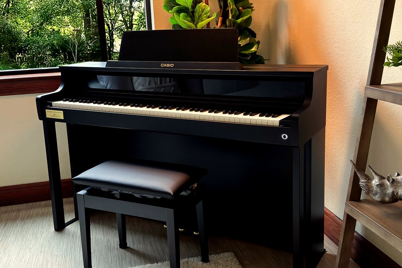 Корпусное цифровое пианино Casio Celviano AP