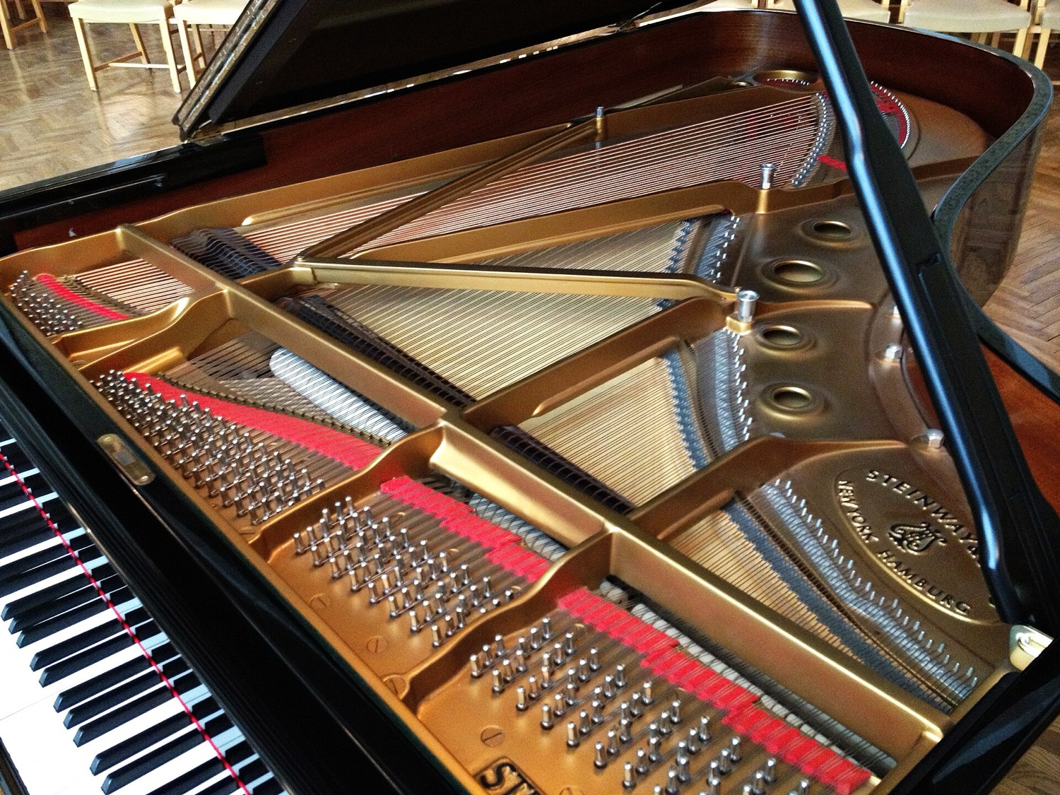Вид внутрь открытого концертного рояля Steinway: золотистая чугунная рама, ряды стальных струн и басовые струны, идущие по диагонали поверх остальных